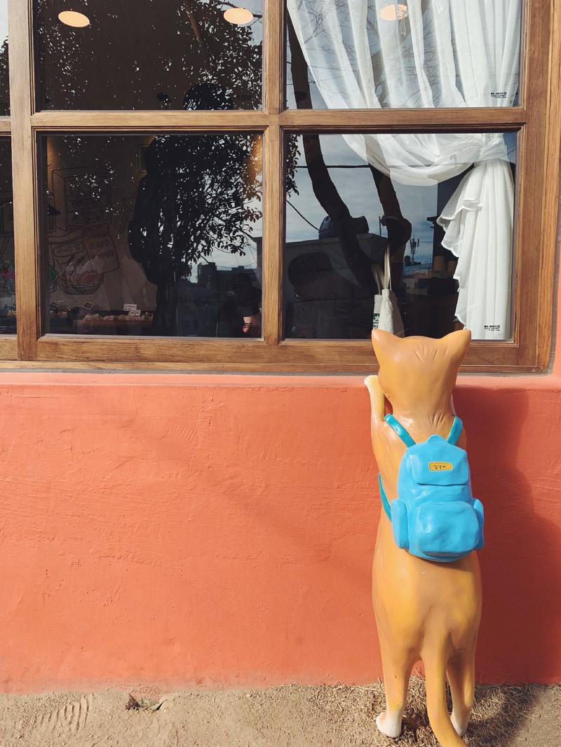 釜山必吃榜第一,韩国釜山好吃的美食推荐