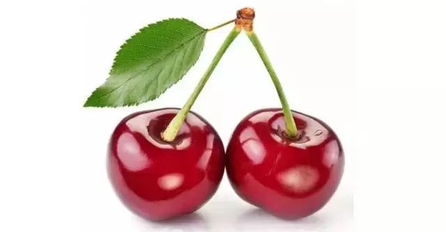 西安周边现在哪的樱桃成熟,西安摘樱桃好去处有哪些