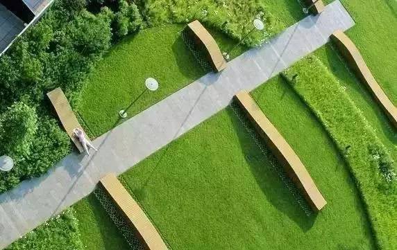 楼顶草坪花园设计效果图,草坪该如何养护管理