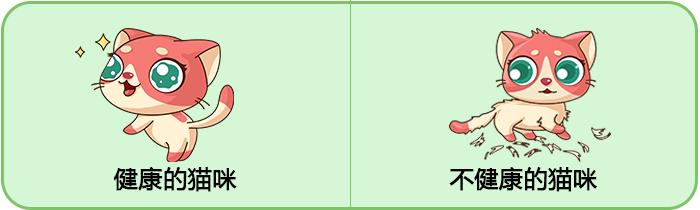 你的猫咪幸福吗,你的猫咪是怎样的