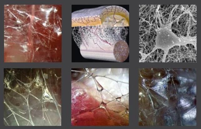 自我软组织放松练习大全（上）