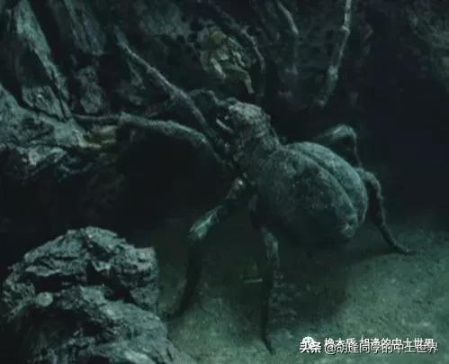 中土世界蜘蛛怪的起源,中土世界蜘蛛被奴役