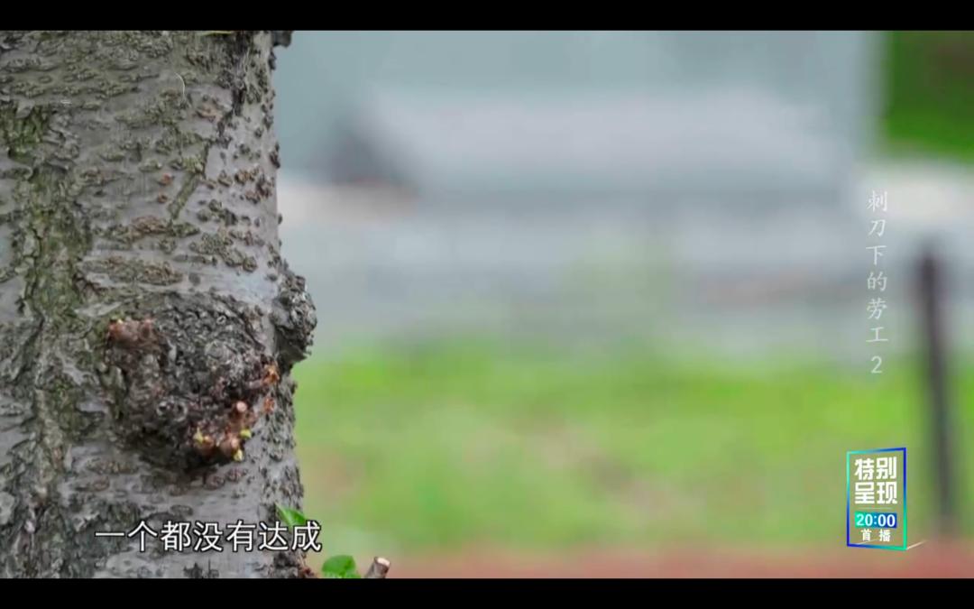 一段令人难忘的日本历史,一口气看完日本人的历史