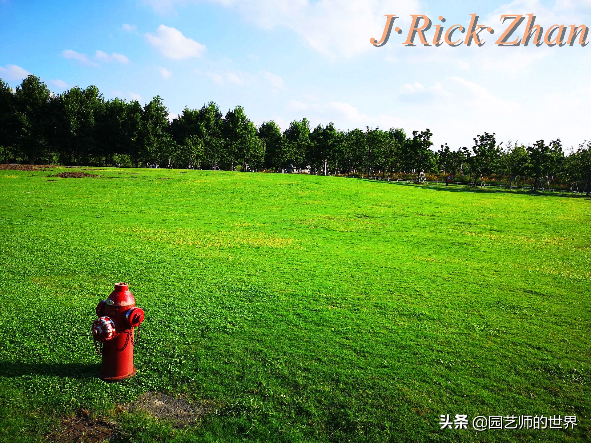 果岭草坪的种植养护方法及技巧,怎么种植一个可以躺的草坪