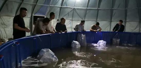 水体消毒的间隔时间,高锰酸钾水体消毒用量和注意事项