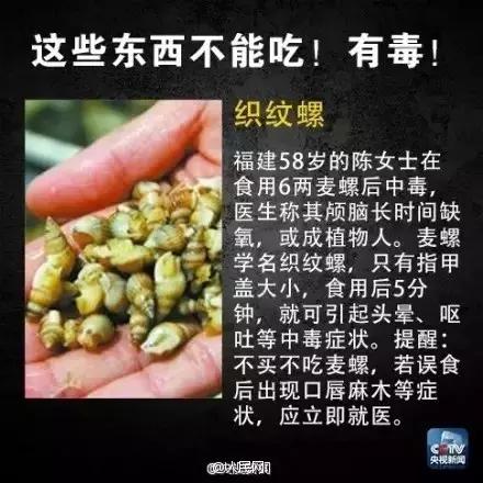 福寿螺冒充田螺流入市场,用福寿螺冒充田螺半成品