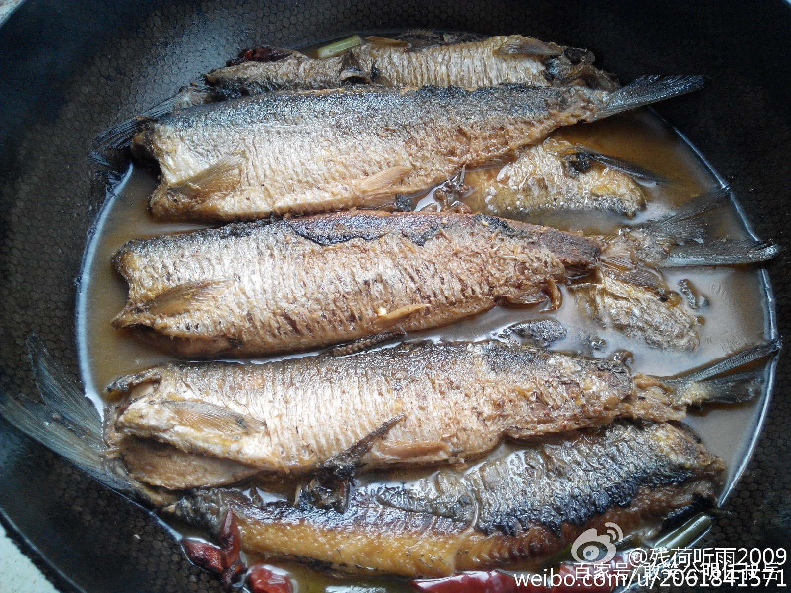 青鱼和海里的青鱼有什么不同,北方说的青鱼是什么鱼