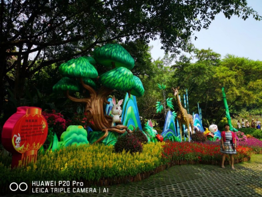 广州云台花园花展,广州云台花园咋样