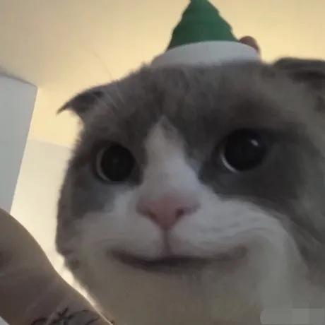 现在哪些app比较赚钱,什么app比较赚钱