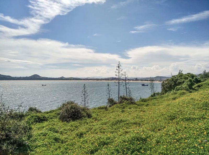 鐏北宀涙毚椋庨洦瑙嗛,鐏北宀涙毚椋庨洦