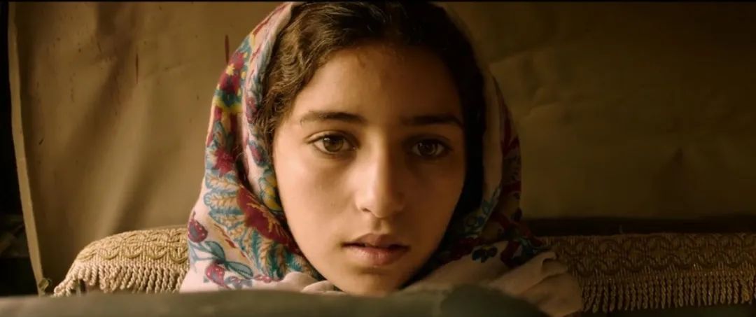 历年春节档票房前三名,澳门风云票房最新统计