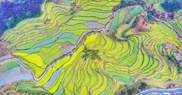 安徽春天去哪看花,安徽春天赏花攻略景点推荐