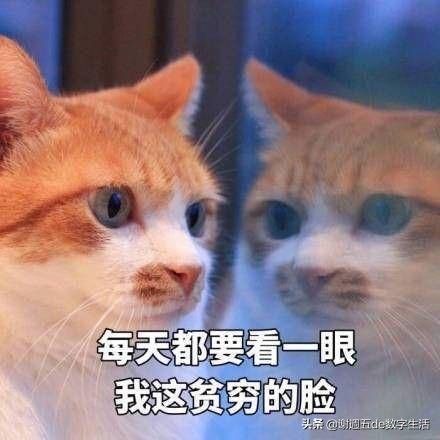 单卡iPhone变双卡，3分钟搞定安卓备用机短信——IFTTT妙用