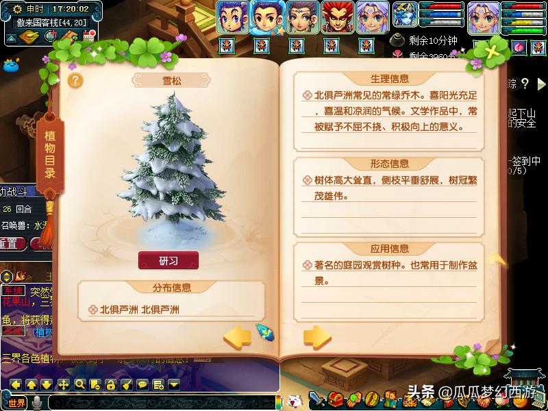 23年梦幻西游五行斗法攻略 (梦幻西游五行斗法2023平民攻略)