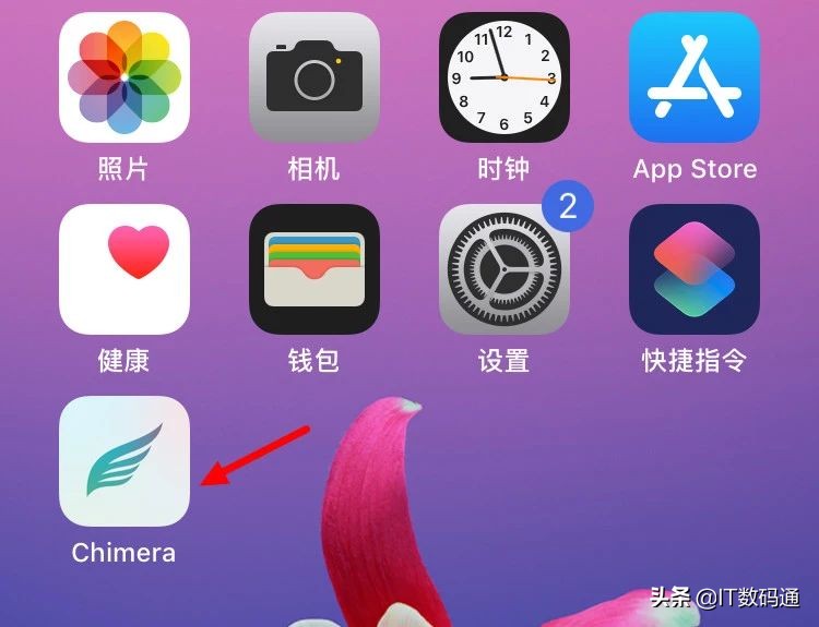 越狱详细步骤ios14.8,ios14.8.1以上手机越狱教学