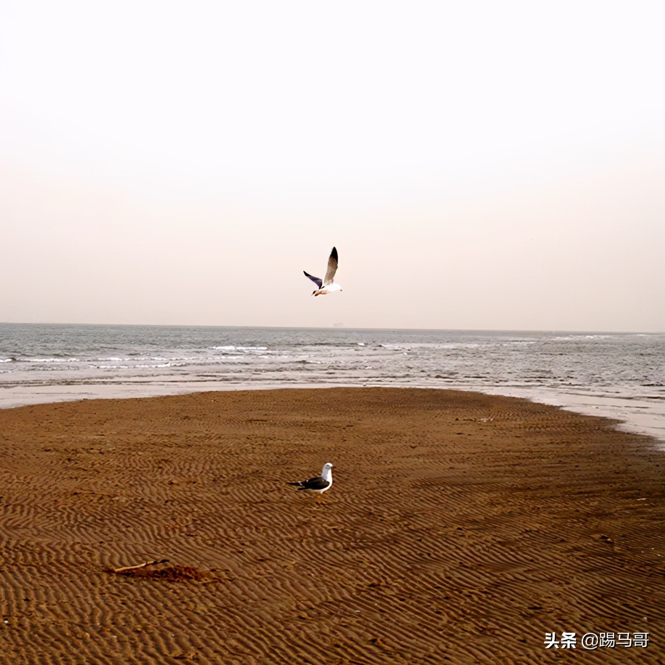 阿那亚必打卡地,阿那亚拍照打卡地