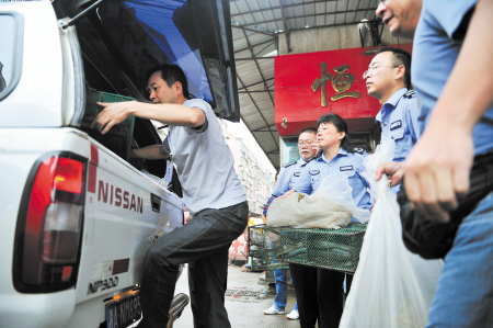 查获眼镜蛇,广东查获900斤眼镜蛇