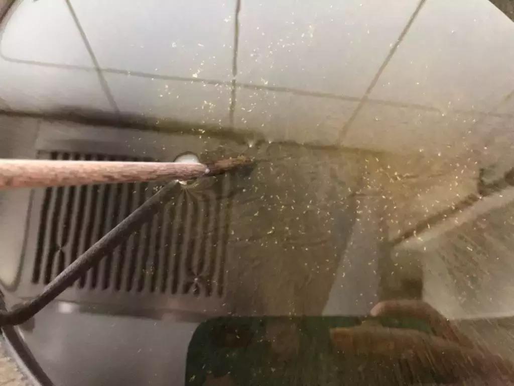 酸甜菠萝龙嘴鱼,番茄菠萝龙利鱼