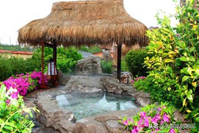 庐江金孔雀温泉门票,合肥庐江金孔雀温泉攻略