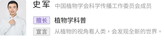 早餐吃辣的有什么危害,经常吃爆辣有什么危害