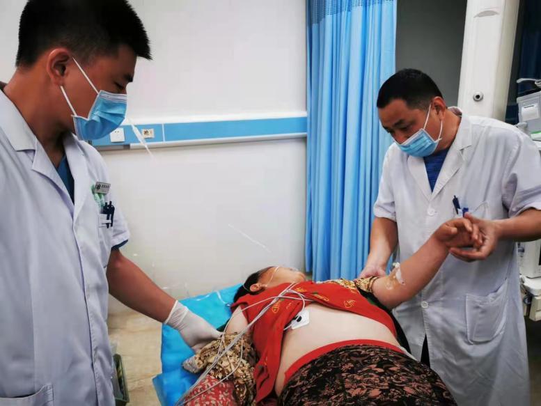 刺毛虫蛰了有多痛,刺蛾紫姬蜂与刺毛虫