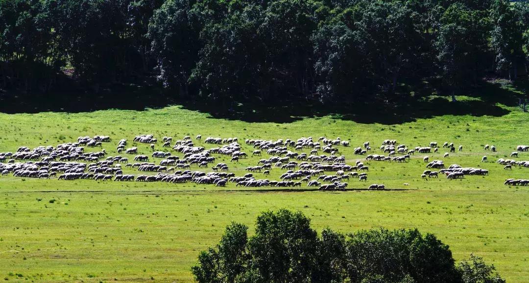 赤峰旅游与美食攻略大全,内蒙古赤峰旅游攻略自由行