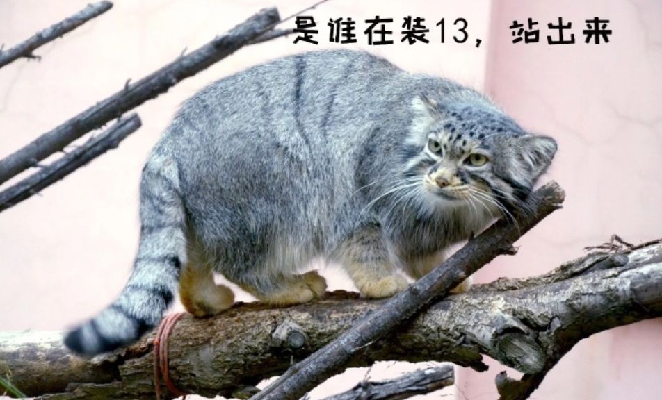 推荐最好玩的乐园,有没有值得玩的地方推荐一下