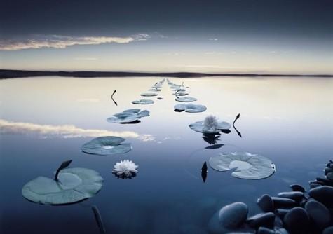 小学生必学的经典国学,经典国学启蒙大学