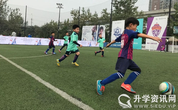 三岔河小学教师招聘,成都市东部新区教师公开招聘