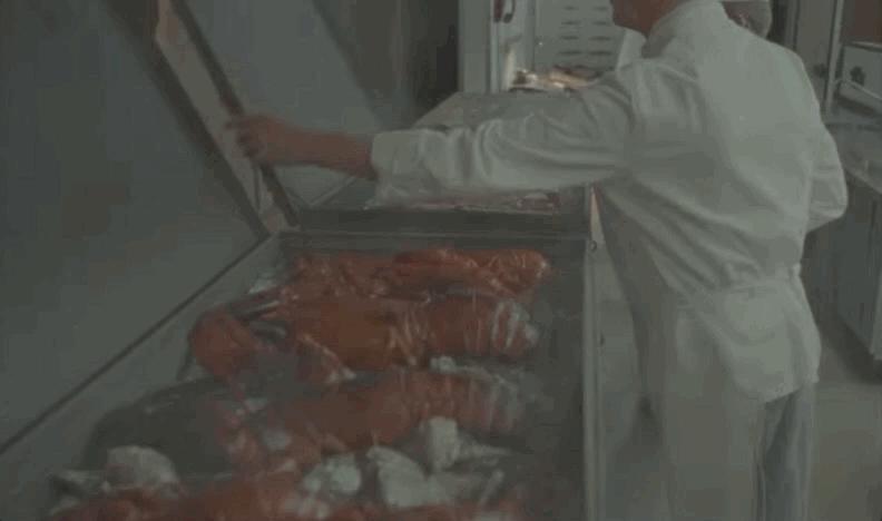 辣眼睛的威尼斯红毯女星惊艳,威尼斯红毯女星惊艳