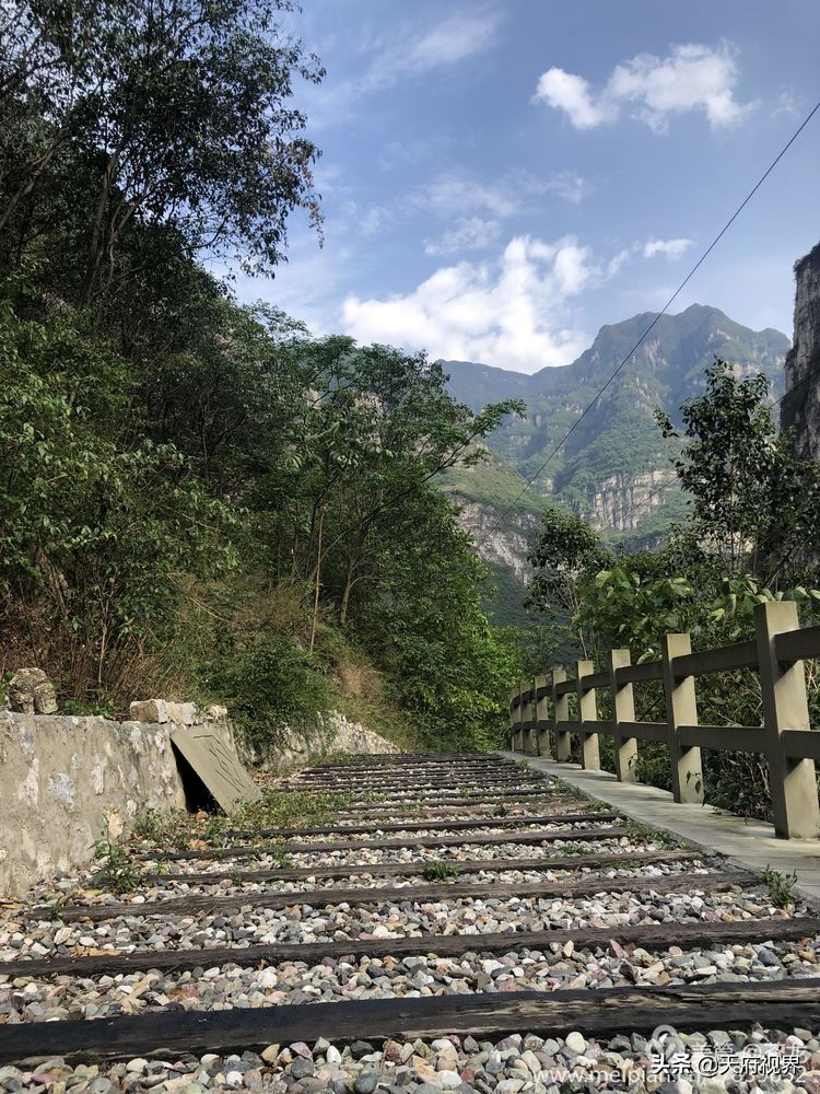 中国百慕大黑竹沟了解一下,穿越黑竹沟揭秘中国百慕大