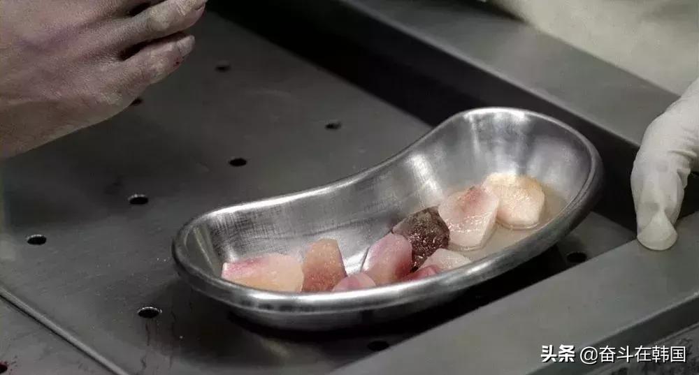 轰动韩国的杀人碎尸案,轰动韩国的案件完整版