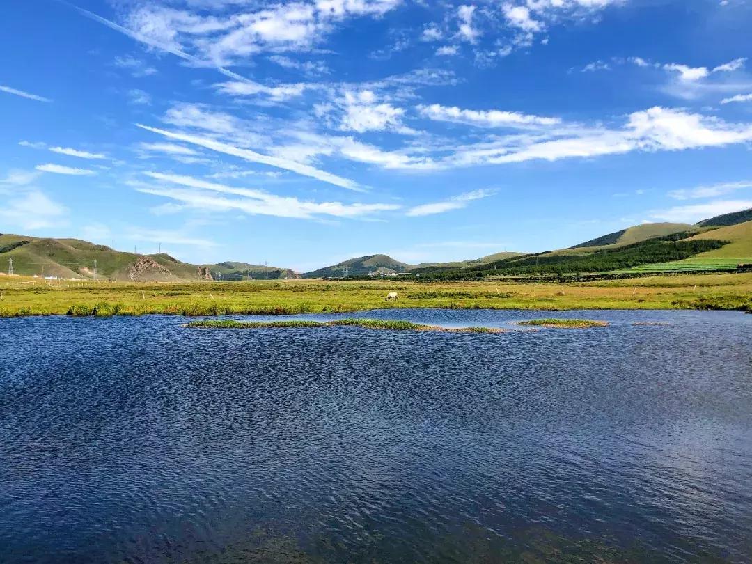 千松坝国家森林公园看云海,在万米的高空看云海