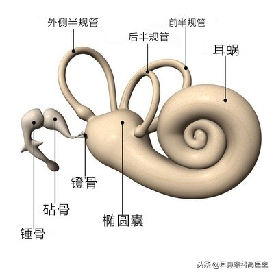 翻身时突然晕一下怎么回事,躺着一翻身就晕是怎么回事