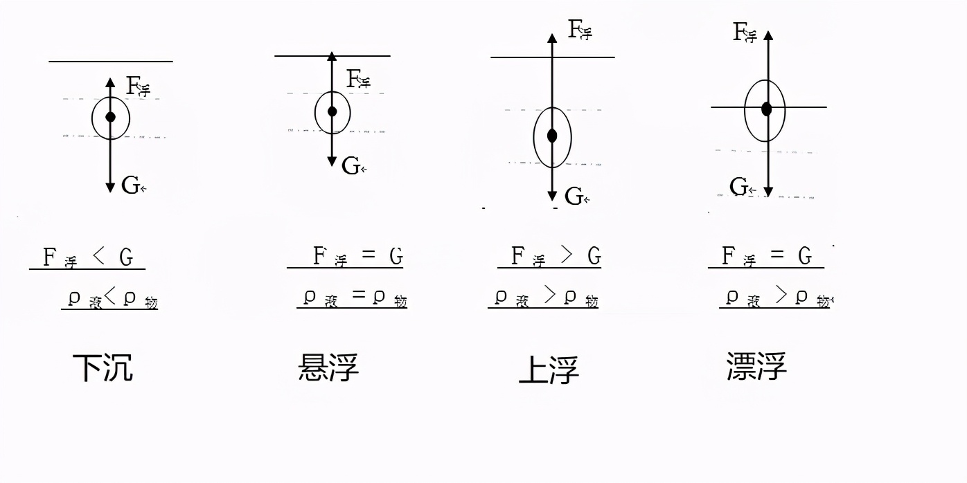 新手钓鱼不调铅行吗,新手钓鱼不知道怎么调试浮漂