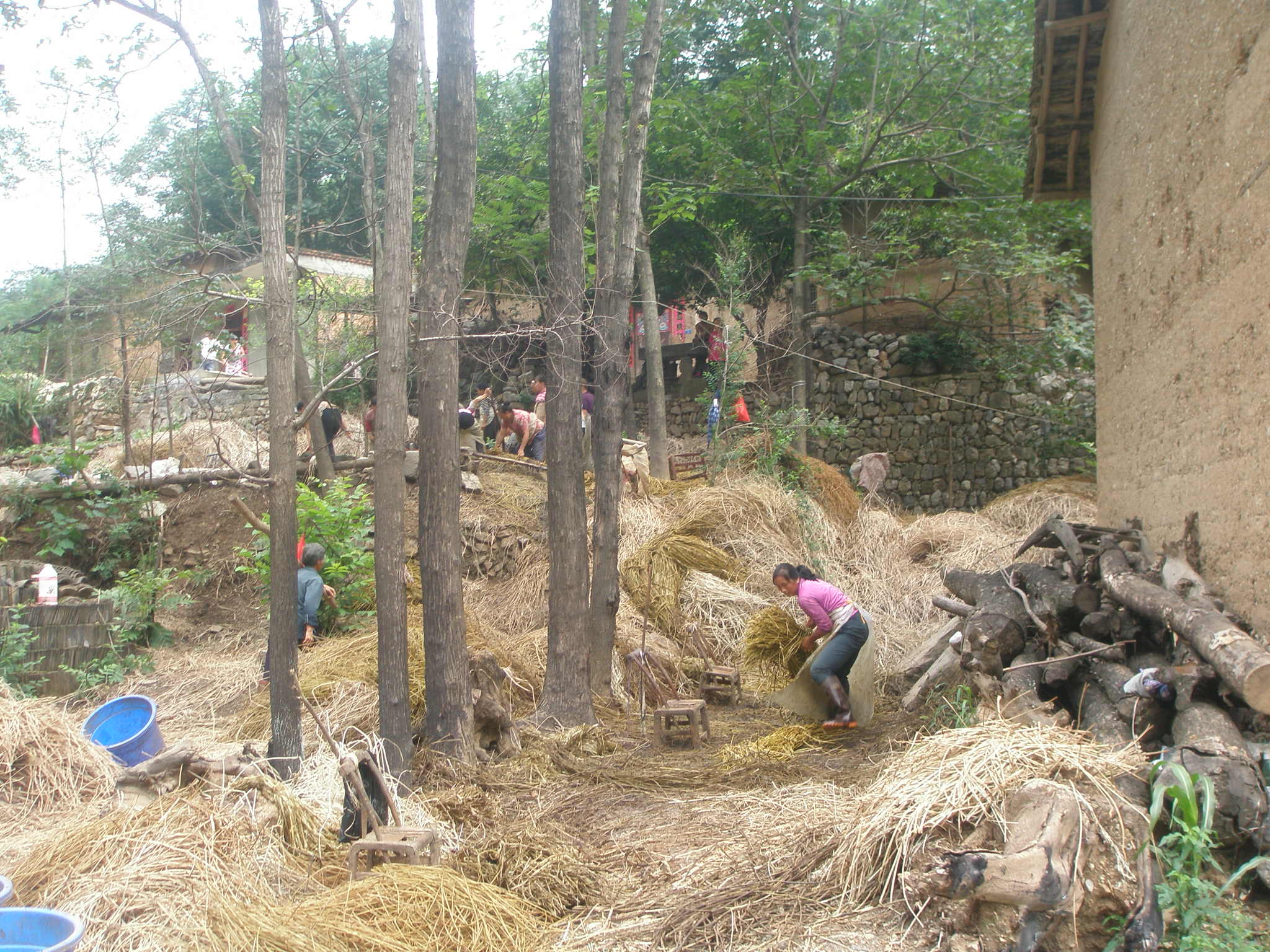 秦楚古道一日游攻略,秦楚古道自驾游攻略