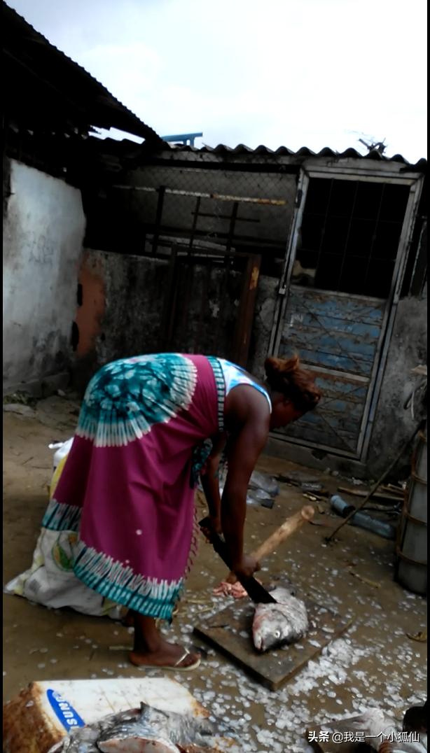 我在安哥拉渔业码头回忆我在非洲安哥拉的日子105