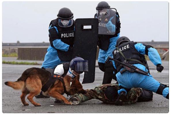 日本是最安全的吗,日本国家安保