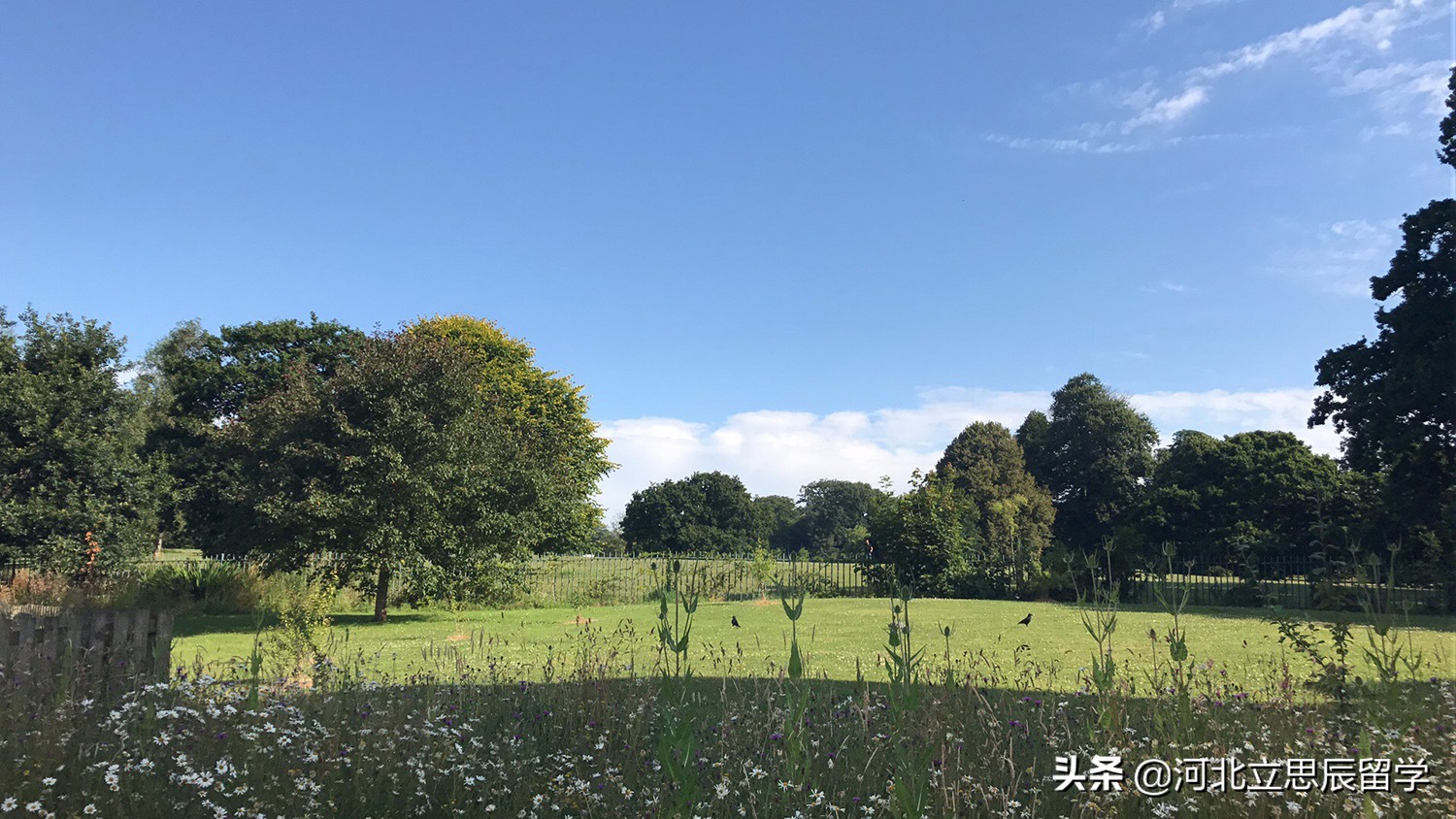 英国教育部最好专业,英国新兴专业解析