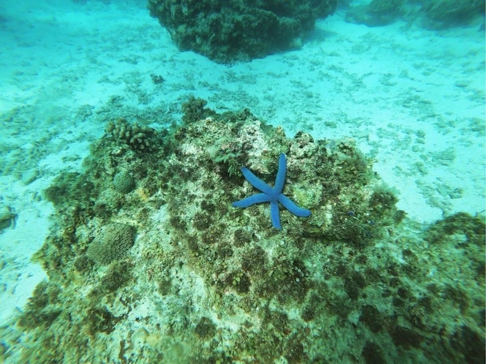 菲律宾自由行旅游攻略地图,菲律宾10天深度游