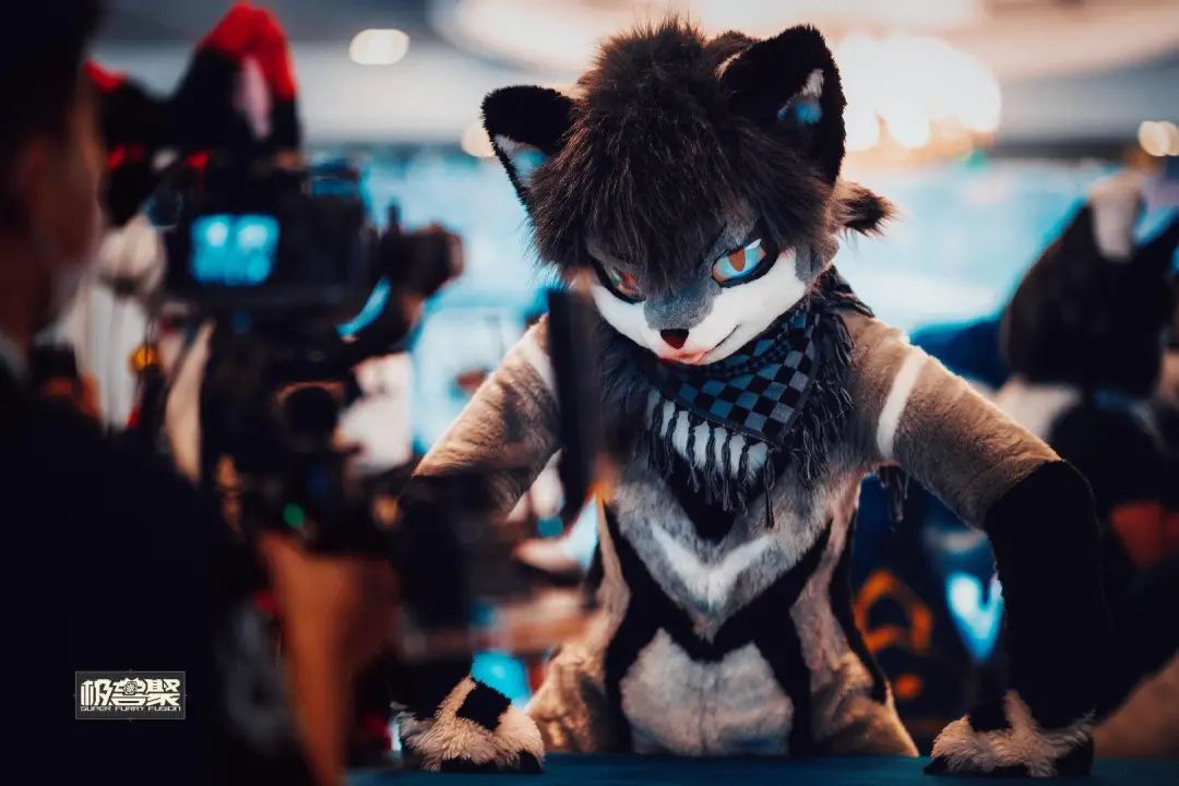 兽圈、谷圈、笔圈……00后都在玩什么？