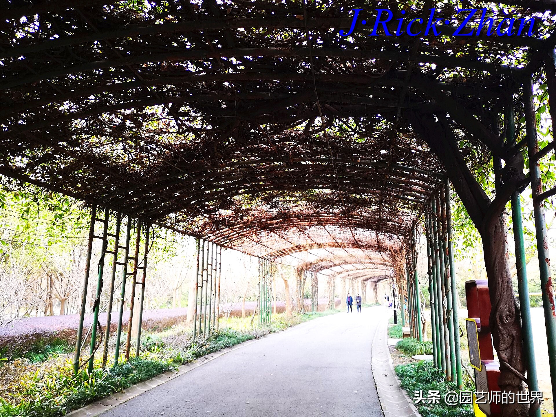 园艺研学报告,园艺园林研学