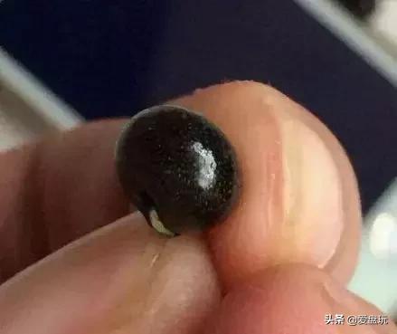 这九种文玩千万别玩,这四种文玩永不过时盘出来还好看