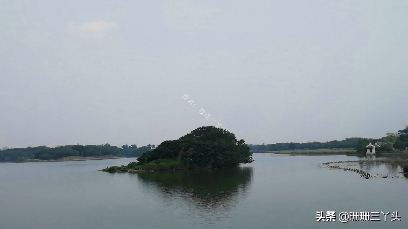 广州湿地公园推荐,广州龙潭河湿地公园