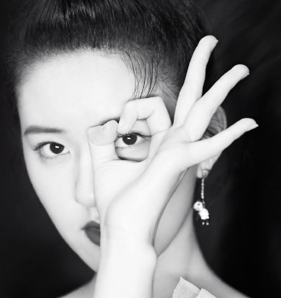 戴上陆海空萌宠团，天天都不缺好心情