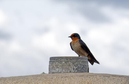 时间、分数、数字用英语怎么表达？你需要知道