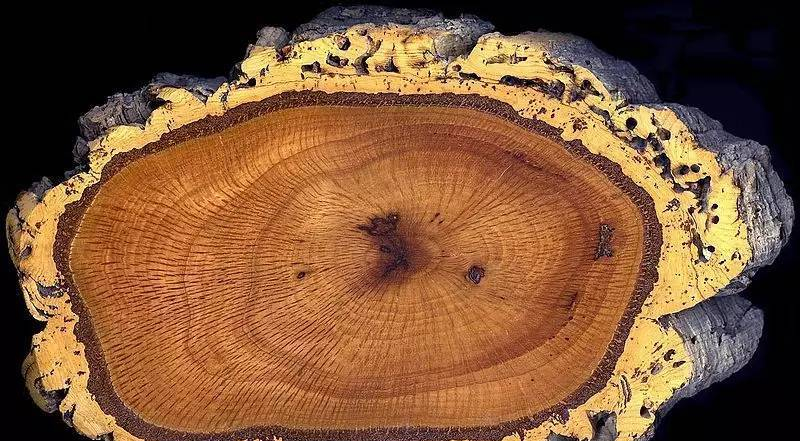 威士忌软木塞如何保存,威士忌为什么用木塞