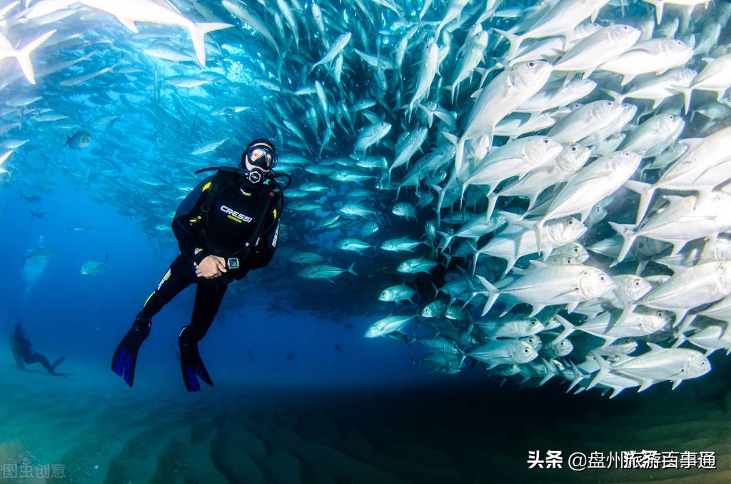 全岛旅游攻略大全,小三门岛旅游攻略大全