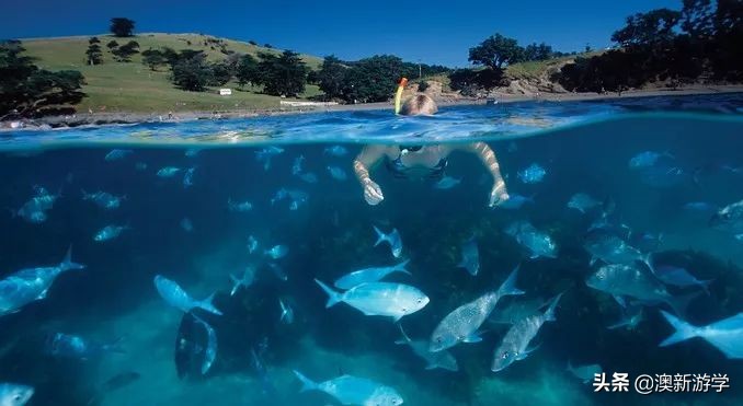 新西兰旅游景点北岛图片大全,新西兰北岛旅游游玩攻略