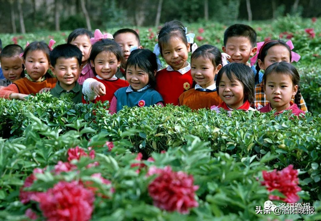 一分钟看河南洛阳,一日看遍洛阳
